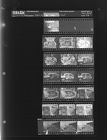Bootlegger Captured (21 Negatives) (December 21, 1964) [Sleeve 76, Folder d, Box 34]
